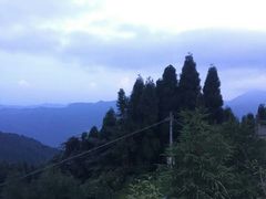 -钟鼎寺
