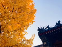 -承恩寺