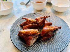 -喜来登由由大酒店九州膳坊中餐厅