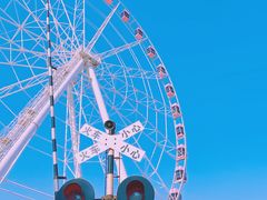 -顾村公园