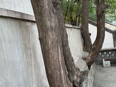 -香山公园