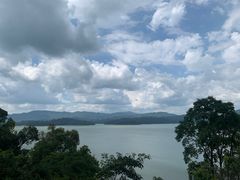 -广州市流溪河国家森林公园