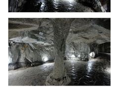-上海辰山植物园