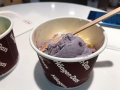 香草雪糕-哈根达斯(天河城店)