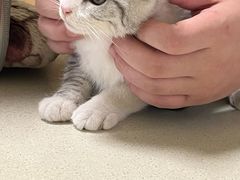 -吴泾第一炸(永德路步行街店)