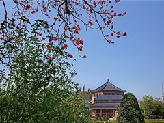 -广州中山纪念堂