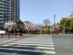 -麦德龙(浦东店)