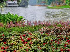-荔湾湖公园