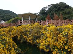 景点-广州市石门国家森林公园