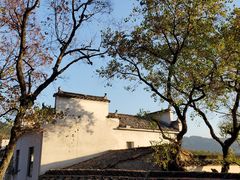 -塔川景区