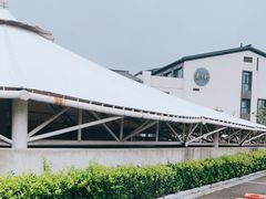 -枣子树·素食餐厅(朱家尖店)