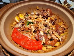 小馆神仙鸡-春熙小馆(乘风庄店)