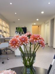 -JNK皮肤管理中心