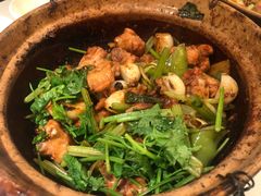 沙姜啫鸡-煲煲好(朝阳门店)