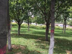 -洨河生态公园