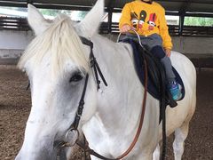 -月河湾马术俱乐部(朝阳店)