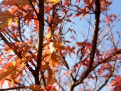 -艾溪湖湿地公园