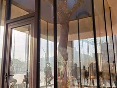 -星巴克(首钢店)