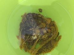-青岛银沙滩