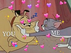 -东方名猫馆·英短金渐层布偶猫舍(环线广场1号楼店)