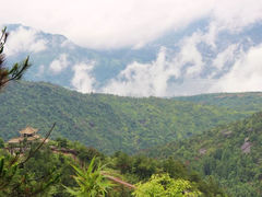 -玉苍山国家森林公园