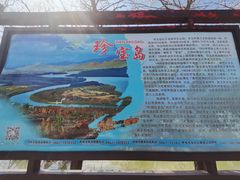 -珍宝岛