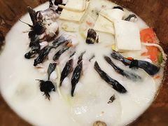 -云中鱼蒸汽石锅鱼(川沙百联店)