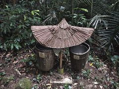 -七仙岭温泉国家森林公园