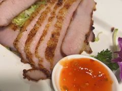 -新白鹿餐厅(百联中环店)