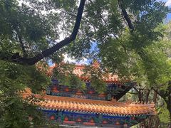 -北京国子监胡同