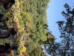-杭州植物园