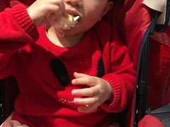 -缘喜外带寿司(上海嘉定宝龙广场店)