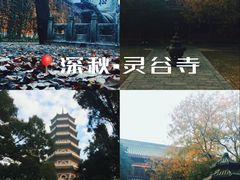 -灵谷景区