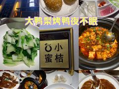 -大鸭梨烤鸭店(花园村店)