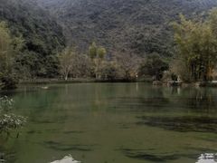 -靖西鹅泉风景区