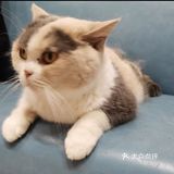 夏日里带着宝宝一起来跟小动物亲密接触吧[礼花]