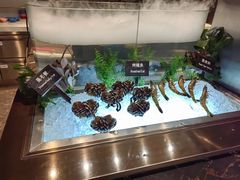 -济南凯宾斯基酒店-THE VIEW云景全日制餐厅