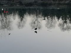 -洨河生态公园