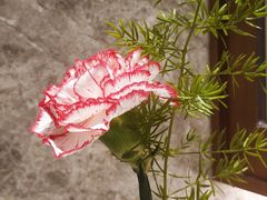 -万德诺富特酒店·自助餐厅(万德大厦店)