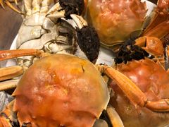 -嘉年华大酒店琴湾-自助餐厅