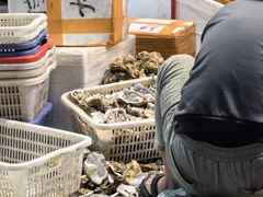 -蚝抵食·湛江生蚝(湾北路店)