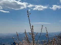 -狼牙山风景区