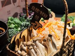 -大龙燚·旷野鲜火锅(广州首店)