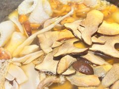 -芸山季·云南山珍菌火锅(人民广场来福士店)