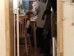 -柴の食堂·日式家庭料理·熊之肆(大学路店)