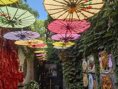 -鱼食饭稻·苏浙土菜17年老馆子(平江路店)