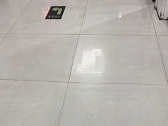 -翊宠yipet猫狗购宠庄园
