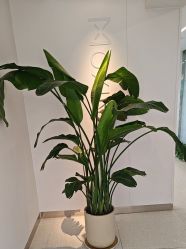 -魔型社烫染店