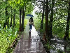 -溱湖国家湿地公园