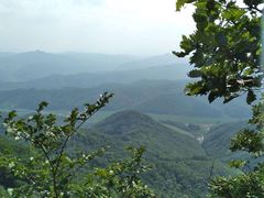 -天女山森林公园